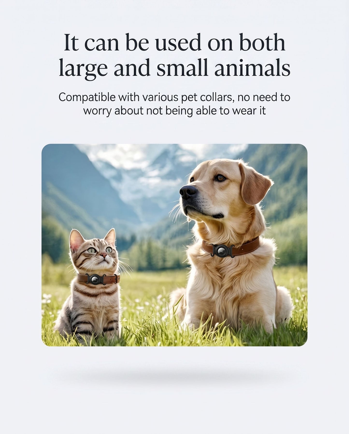 Zentiopet™ Smart Pet Finder: Apple Find My® Edition Global Tracking Defined. Zero Monthly Fees, Lifetime Peace of Mind